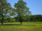 Unlocking the Potential: Selling Land in Iowa